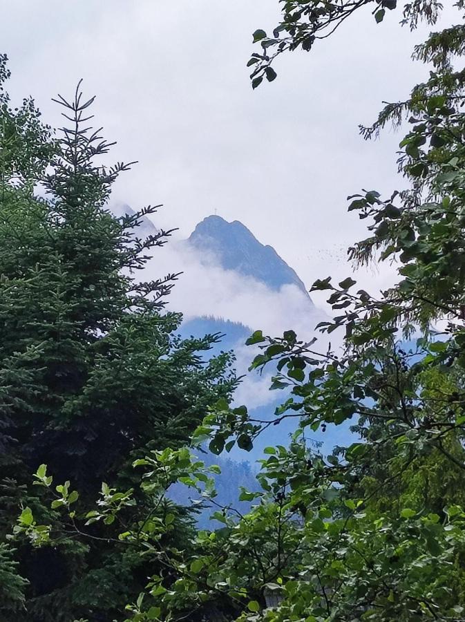 Pokoje Goscinne "Tecza" Zakopane Extérieur photo