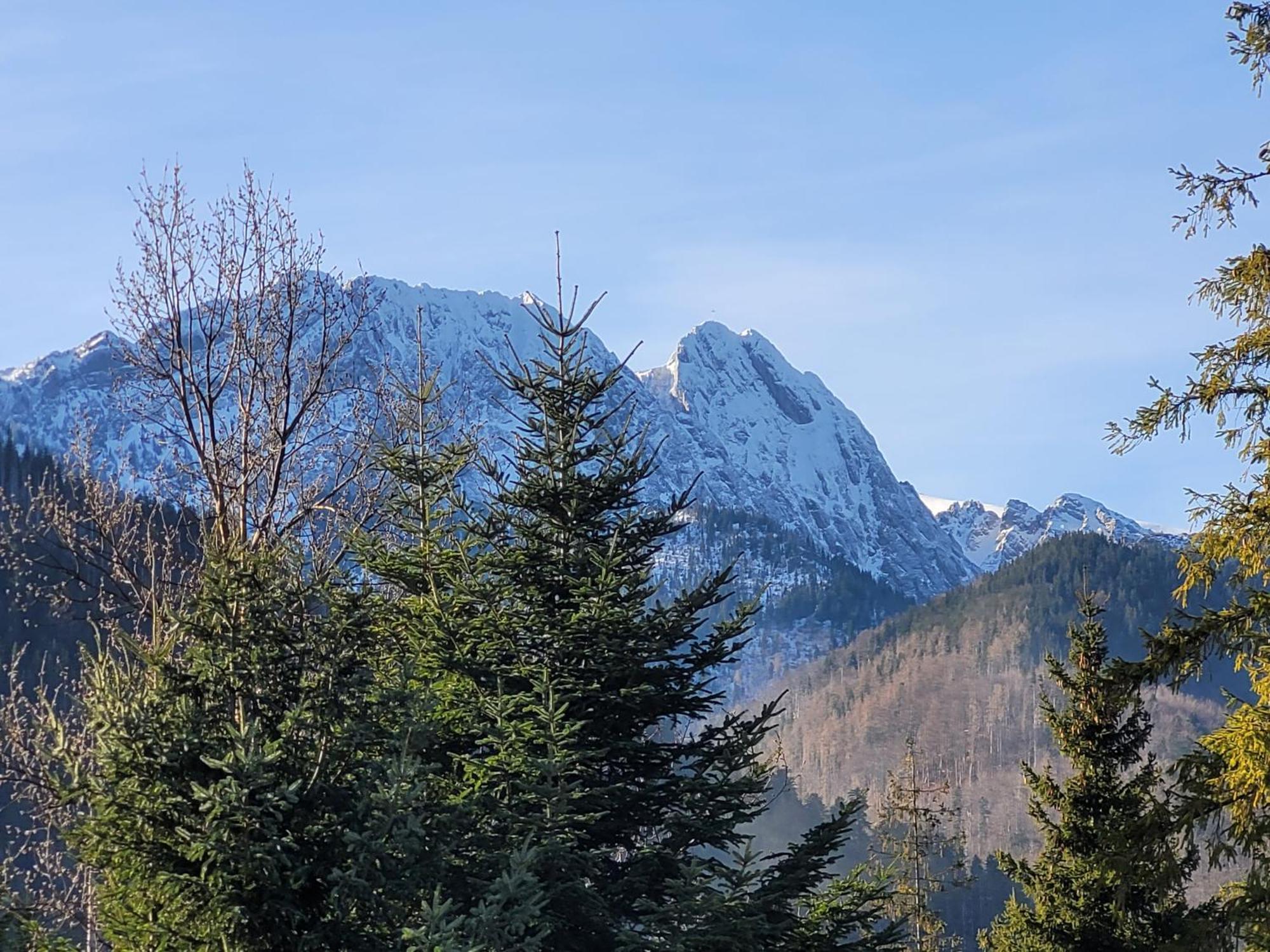 Pokoje Goscinne "Tecza" Zakopane Extérieur photo