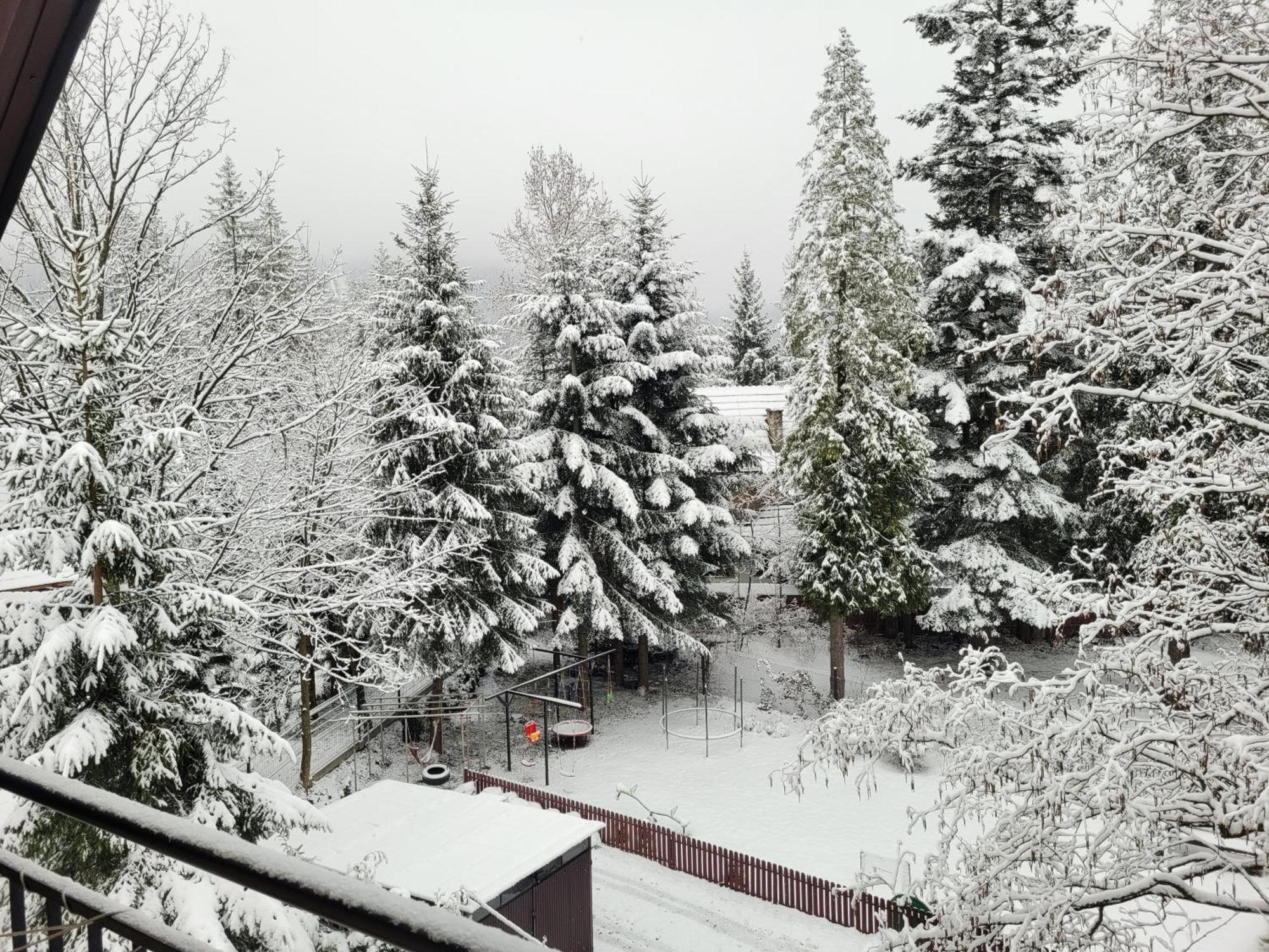 Pokoje Goscinne "Tecza" Zakopane Extérieur photo