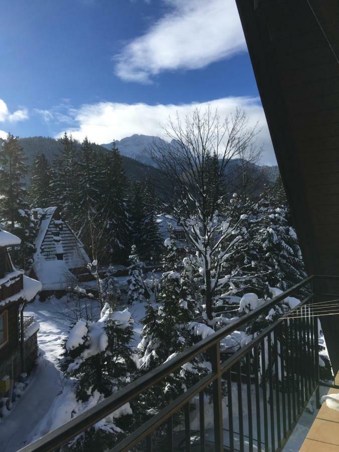 Pokoje Goscinne "Tecza" Zakopane Extérieur photo